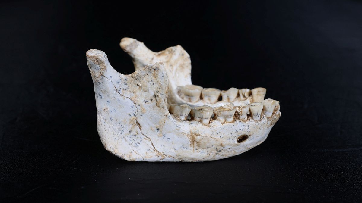 Kosterní pozůstatky objevené v marocké Casablance patří druhu Homo sapiens